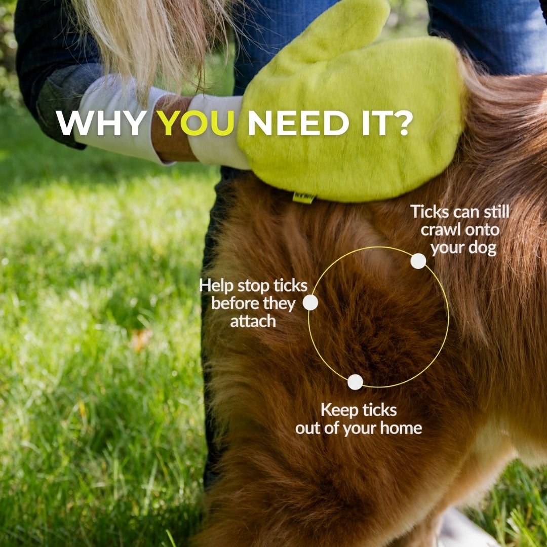 TickSwipe™ | Tick Removal Glove